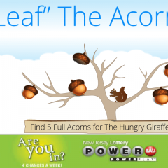 Acorns-4